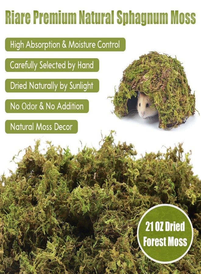 Riare 25QT Natural Hamster Moss Bedding Nesting-Soft Forest Moss Hamster Habitat Reptile Moss for Dwarf Syrian Hamsters, Mices, Gerbils, Reptiles, Small Pets (1.3LBS) - Image 2